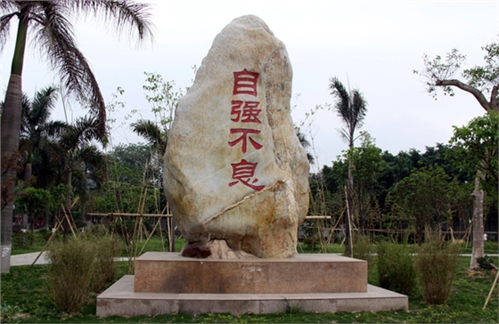 Ӫ���Ļ�����