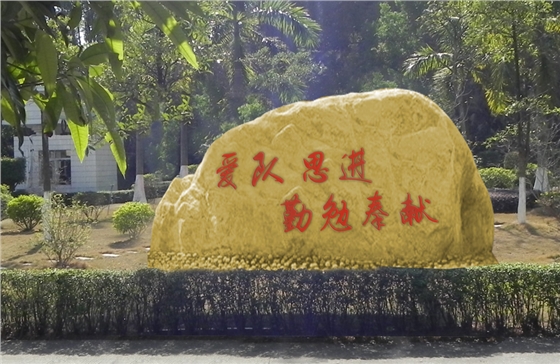 �����Ļ�ʯ����(�й�)Kaiyun���ٷ���վ-��¼���-������