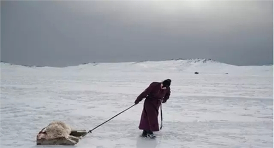 ��ͳ�Ĺ����ҵ�ھ���������ֻ�л�����������  