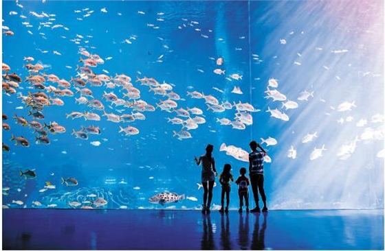 �㶫����չ�ݿ���(�й�)Kaiyun���ٷ���վ-��¼��ڹ�˾