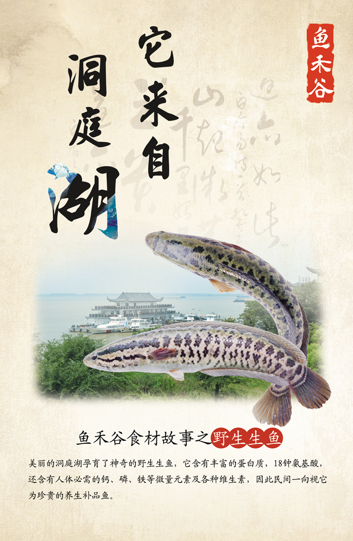 �����Զ�ͥ�� ����.jpg