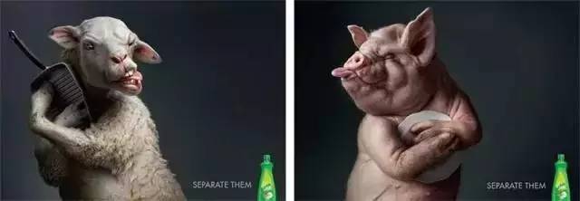 ���⿪��(�й�)Kaiyun���ٷ���վ-��¼���