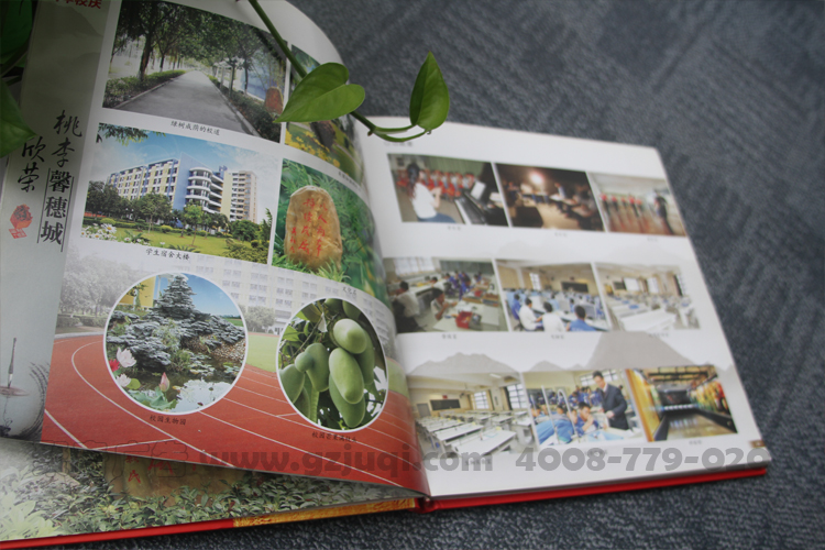 ѧУ���Ὺ��(�й�)Kaiyun���ٷ���վ-��¼���