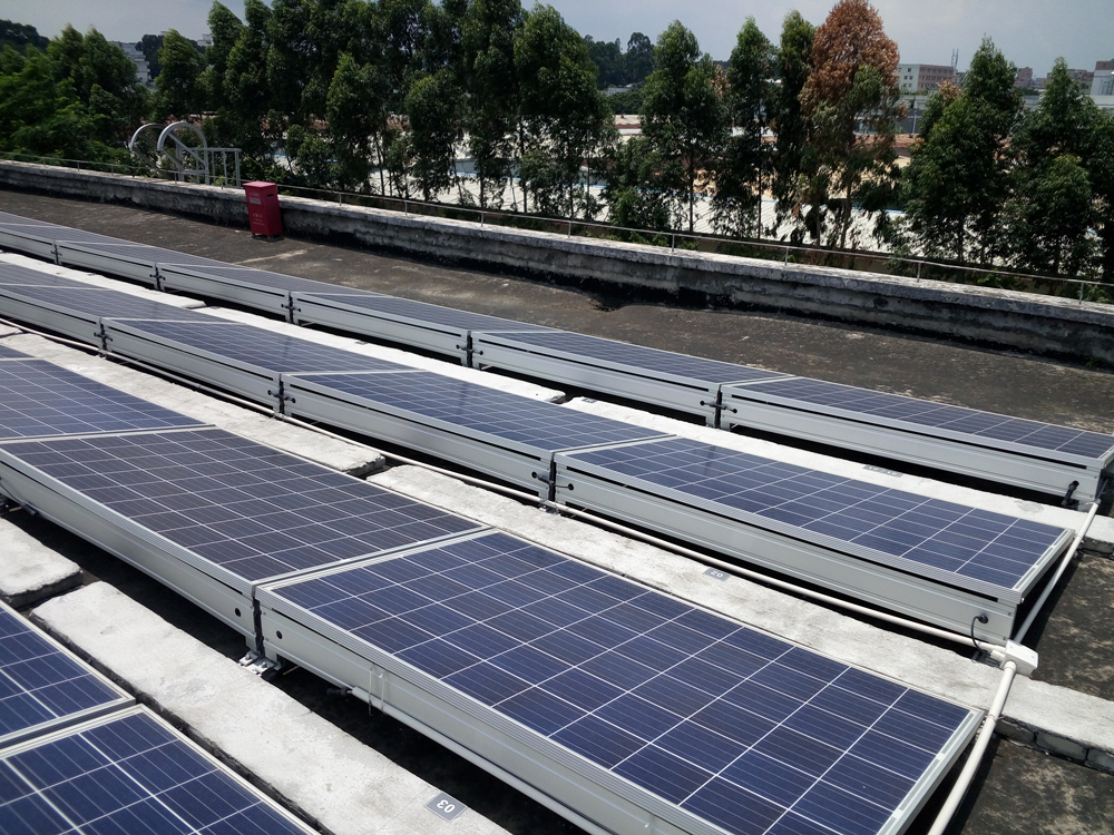 ���ı�ʶ��������