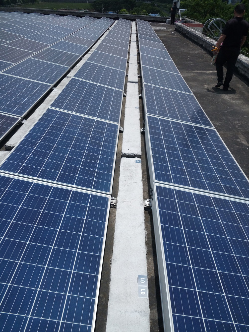 ���ı�ʶ��������